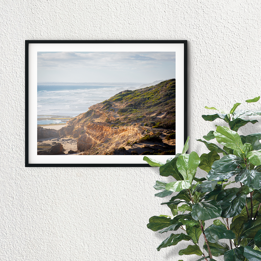 Above Gunnamatta Beach